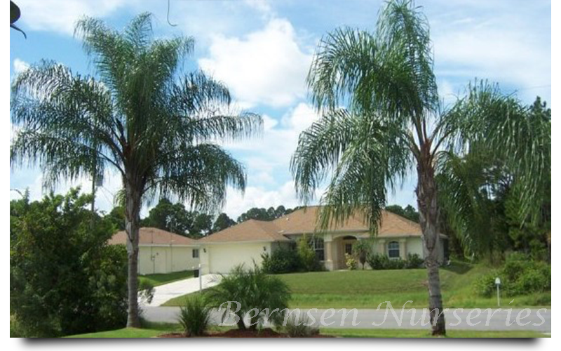 WHOLESALE NURSERY NAPLES